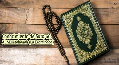 Conocimiento de Sura 60. Al-Mumtahanah (La Examinada)