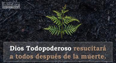 Dios Todopoderoso resucitará a todos después de la muerte y examinará sus obras.