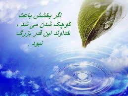 عفو و بخشش عفو و بخشش و نقش آن در تعالی روح انسان