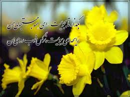 عفو و بخشش گل