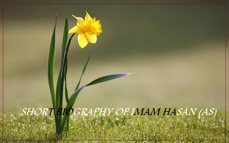 Imam Hassan