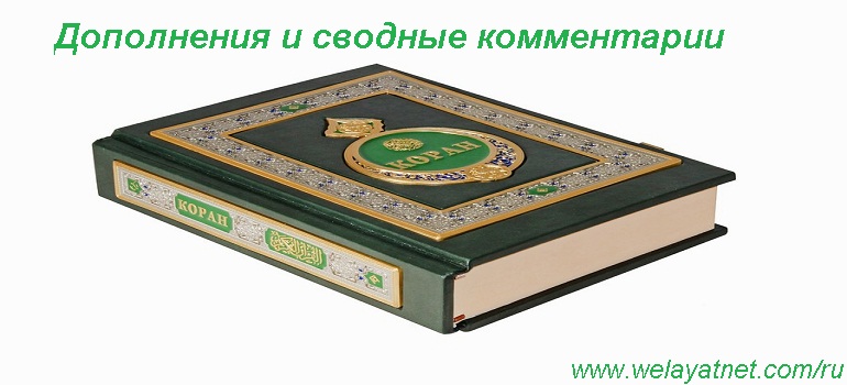 История мусульманской экзегетики в Средние века (5-9 вв. х.) Дополнения и сводные комментарии.