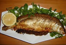 حکم شرعی مصرف ماهی مرده