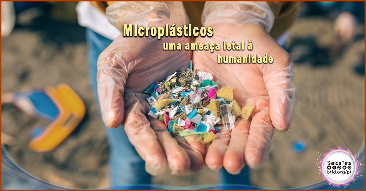 humanidade Microplásticos "uma ameaça letal à humanidade"