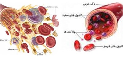 قرمزی خون