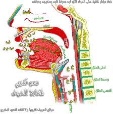 تلفظ حروف