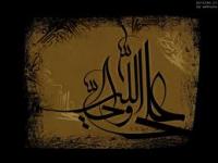 اگر شیوه خلفا صحیح نبود،چرا علی (ع) در زمان خلافت اصلاحی صورت نداد؟ Imam_Ali