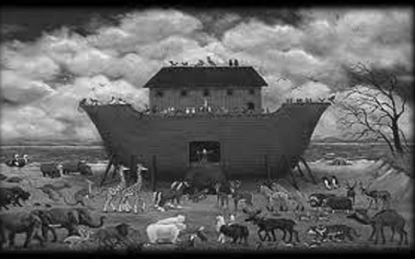 What were the Characteristics of Noah's Ark?