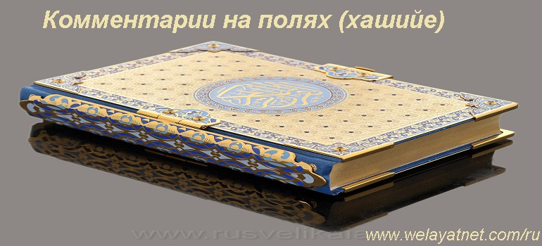 История мусульманской экзегетики в Средние века (5-9 вв. х.) Комментарии на полях (хашийе).