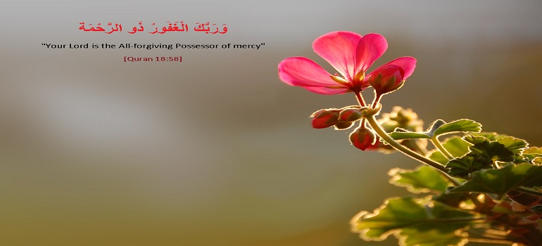 Divine Attributes in the Qur’an: 3. Mercifulness and compassion (part 2)