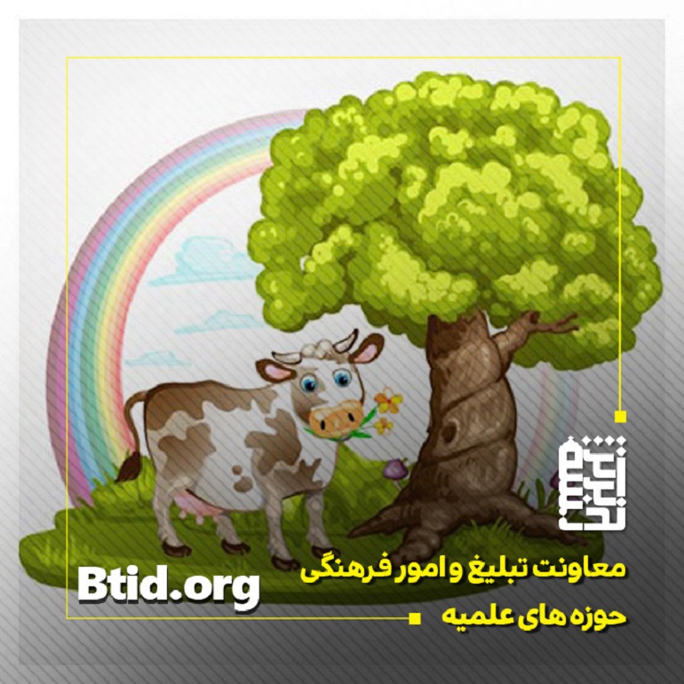 قصه شب کودکانه آرزوی گاو پرزور و خروس دانا