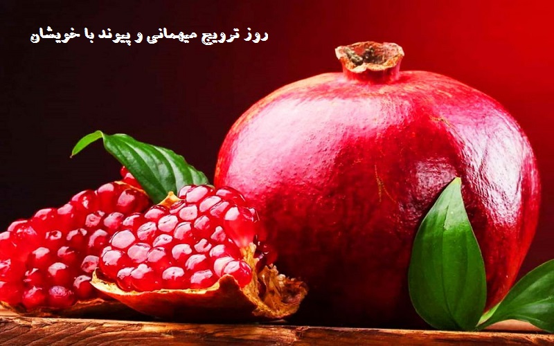 نام جدید شب یلدا