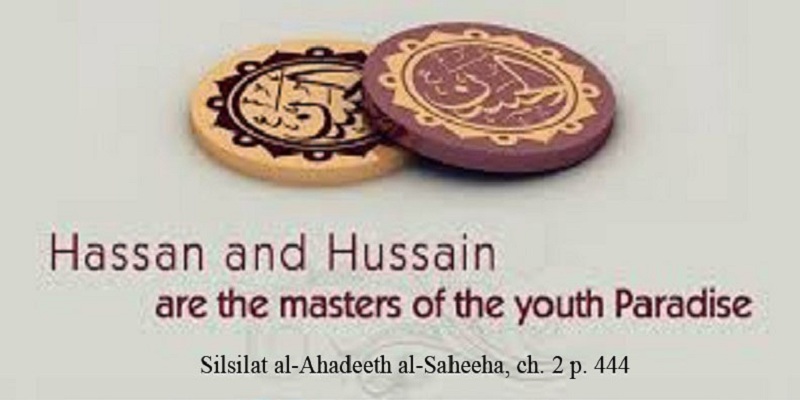 The Rationale behind the Peace Treaty of Imam Hassan (A)