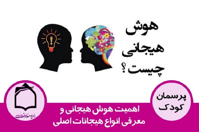 هوش هیجانی