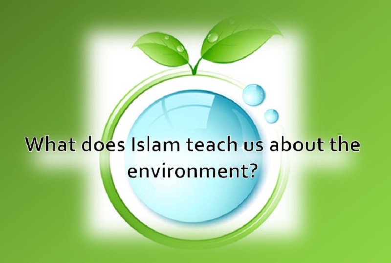 Islam and Environment 