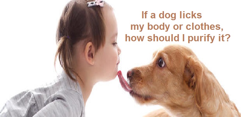 Dog Licks Body or Clothes