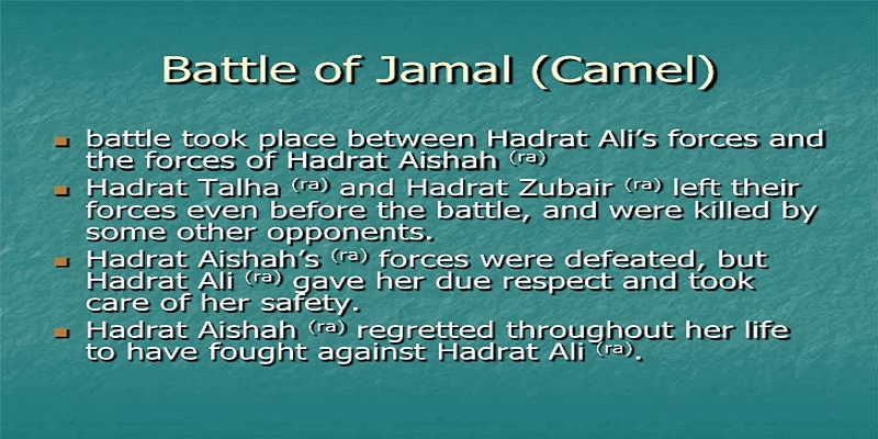 A Glance at the Battle of Jamal (camel)