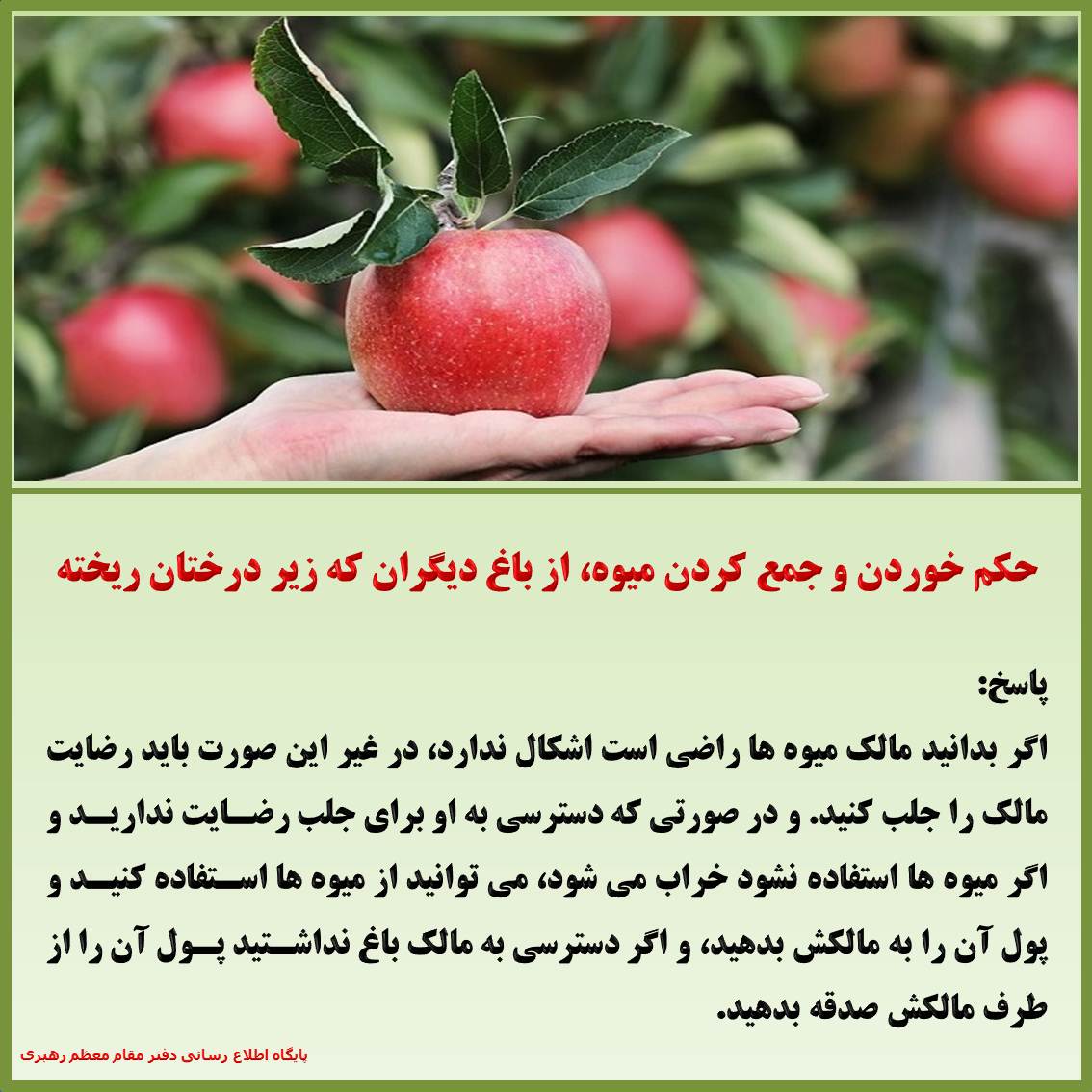 حکم خوردن و جمع کردن میوه، از باغ دیگران که زیر درختان ریخته حق الناس