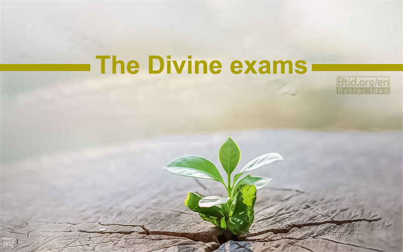 The Divine exams 