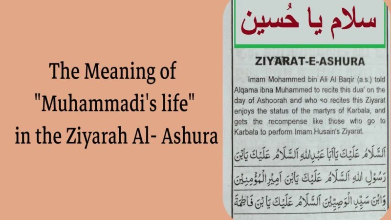 The Meaning of "Muhammadi's life" in the Ziyarah Al- Ashura