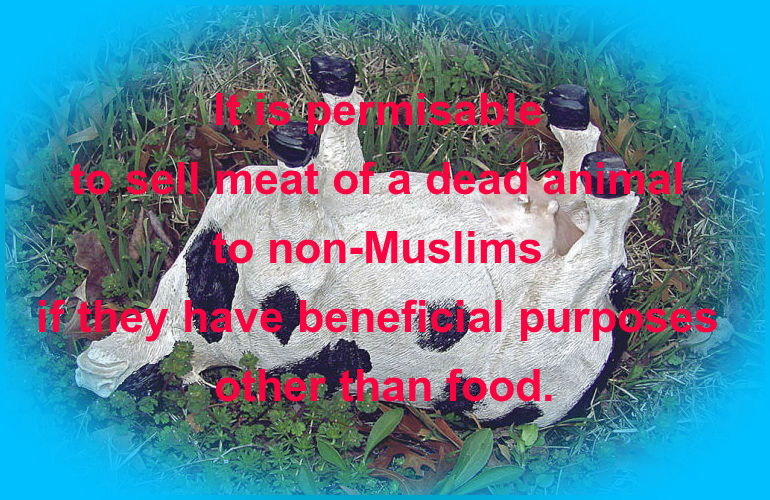 Selling Meat of a Dead Animal to non-Muslims