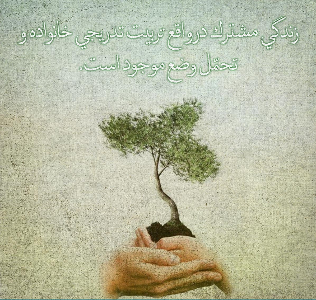 تربیت لقمه ای درخت
