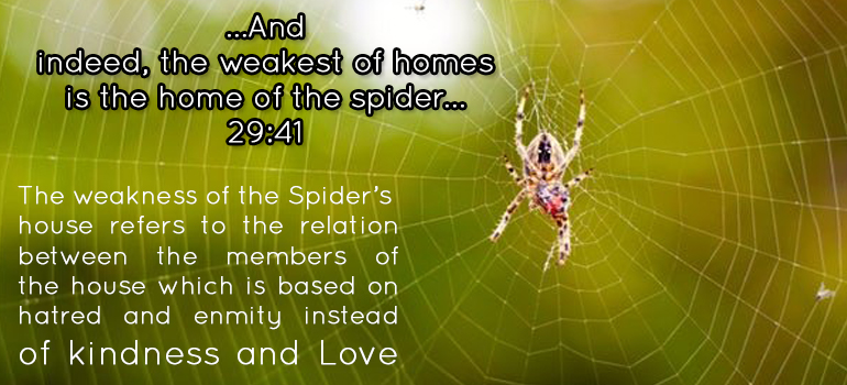 The House of the Spider: A Scientific Miracle of the Qur’an