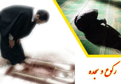 جابجایی ذکر رکوع و سجده رکوع، سجده، ذکر