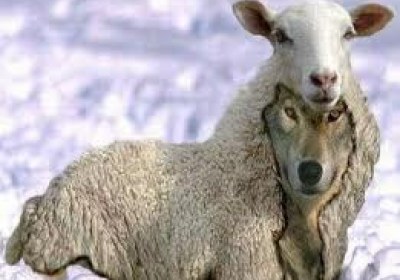 نشانه های منافق از منظر قرآن گوسفند