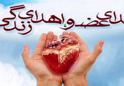 اهدای عضو اهدای عضو