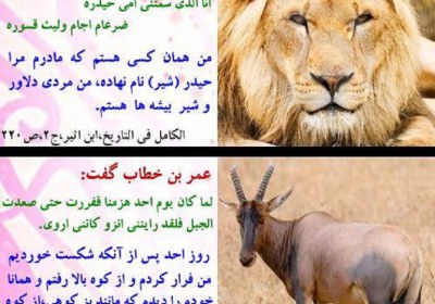 فرار مدعیان از جبهه جنگ فرار مدعیان از جبهه جنگ