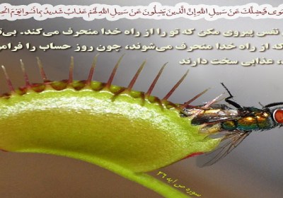 اخلاق و معنویت اخلاق و معنویت