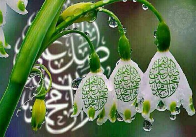 وجوب محبت آل محمد