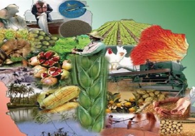 الگوی مصرف صحیح ژاپن