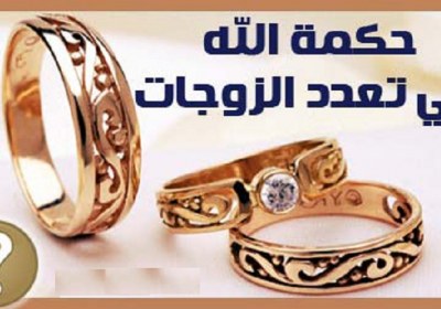 تعدد زوجات تعدد زوجات