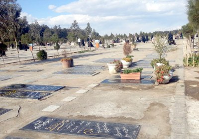 حسرتی برای مردگان مردگان