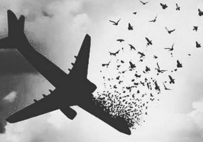 بازی سیاسی در ماجرای هواپیمای اوکراینی هواپیمای اوکراین