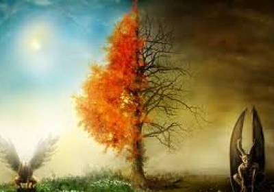 تکنیکهای جذب مخاطب طبیعت