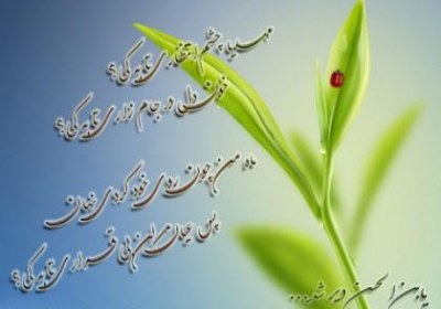 مدعیان دروغین مهدویت