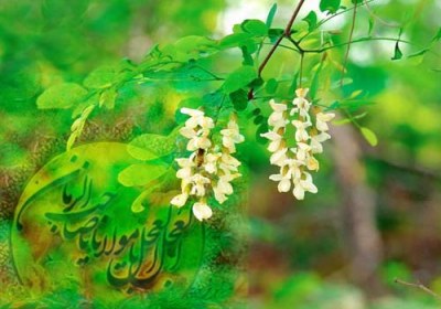بدی را بابدی جواب ندهیم طبیعت