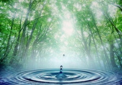 حق پذیری طبیعت