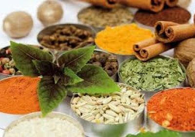 داروی گیاهی صادرات داروی گیاهی ایرانی آلزایمر به فرانسه