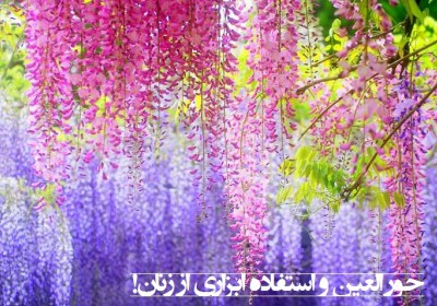 تبلیغ زن در اسلام تبلیغ زن در اسلام