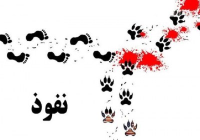 نفوذ