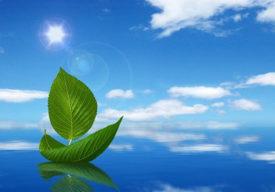 ثمرات دین دین