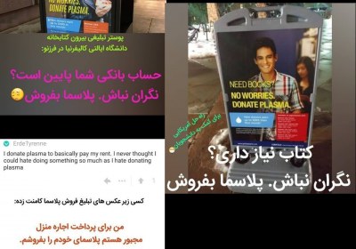 پلاسما سرمایه داری