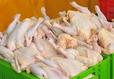 بدون شرح دربارهی جدیدترین بیتدبیری! مرغ روحانی