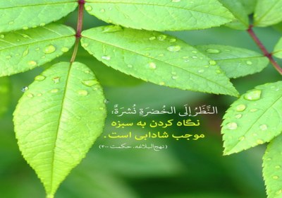 سیزده بدر سیزده بدر
