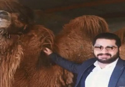 جهالت ادرار شتر