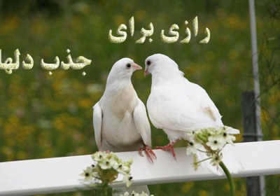 رازی برای جذب دلها عشق